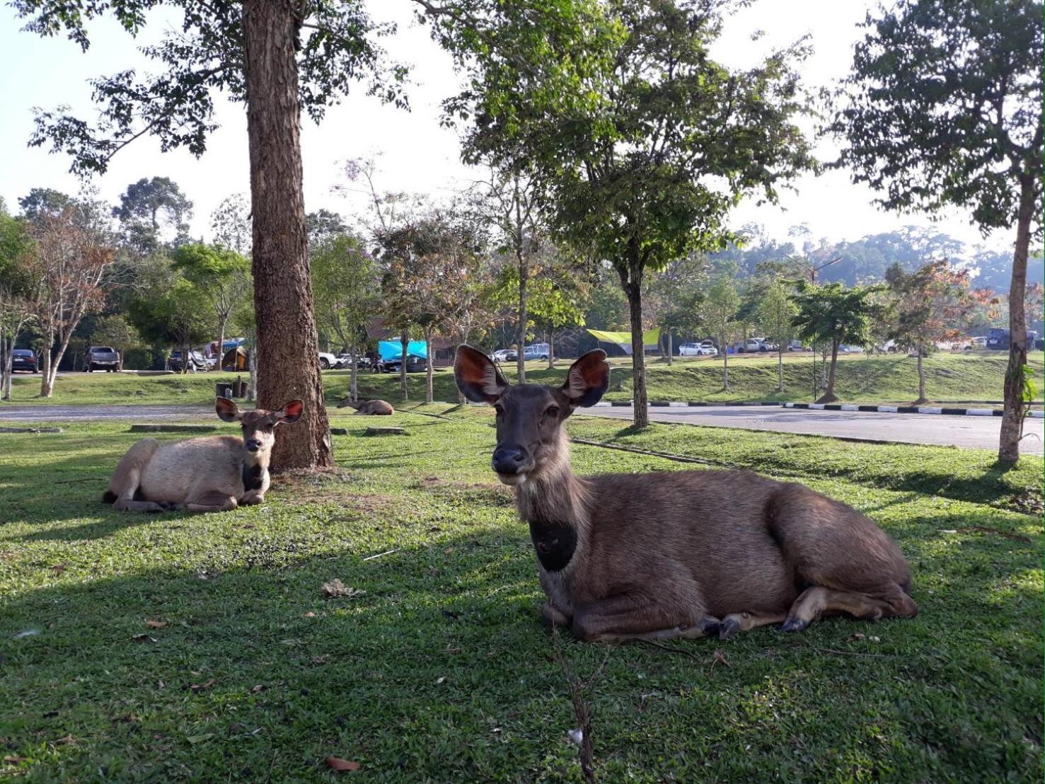 Villa Annie At Khao Yai